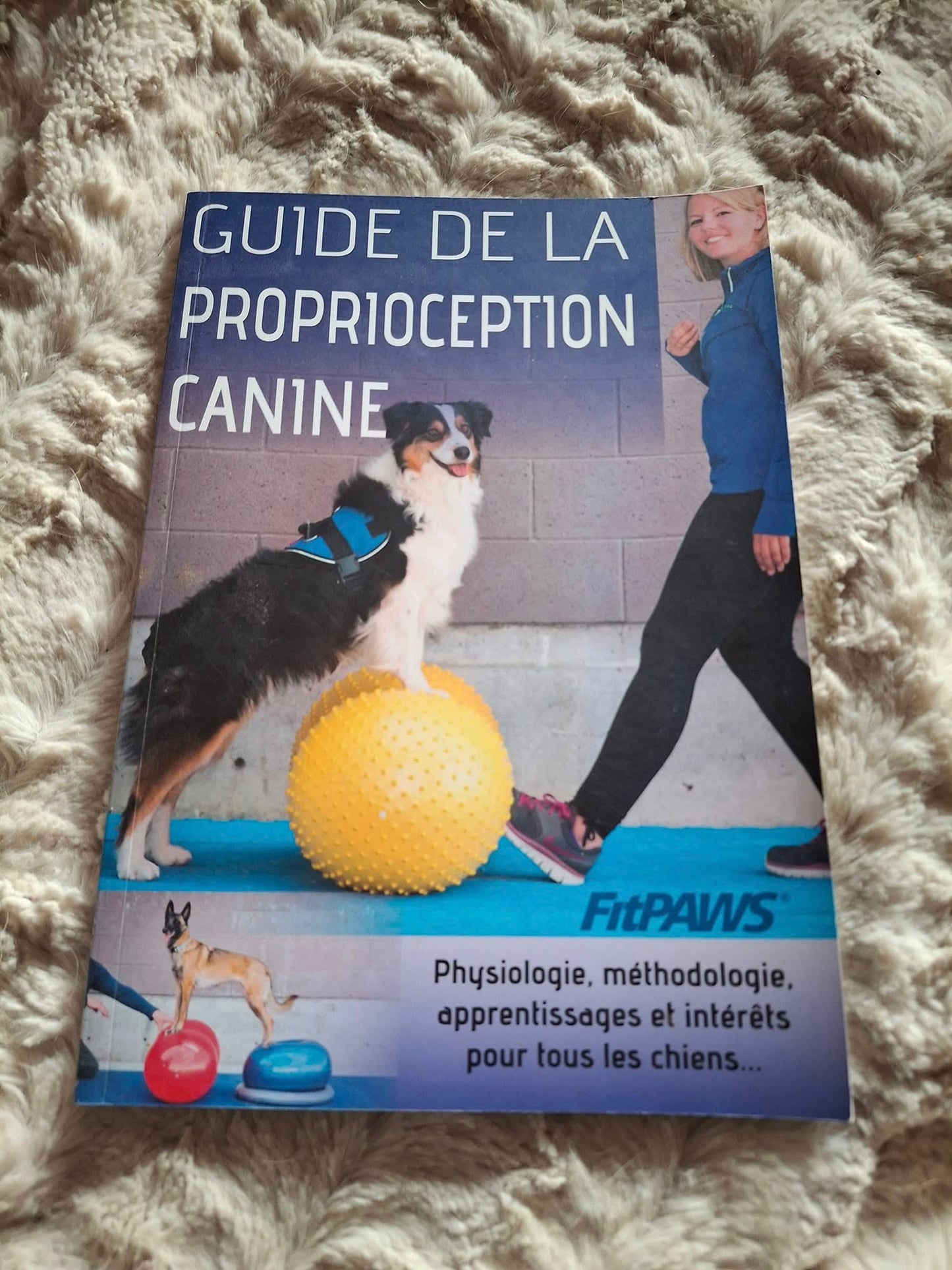 Guide de la proprioception canine
