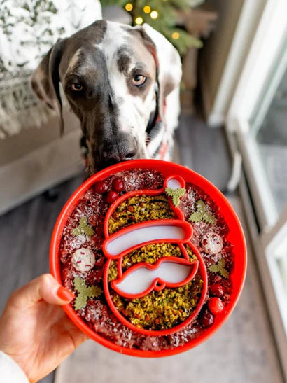 Ebowl Père Noël - gamelle anti glouton spécial Noël - SODAPUP