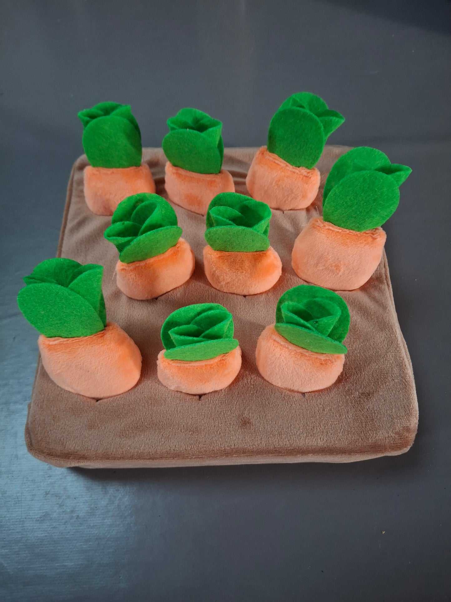 Jouet interactif de reniflage pour chien