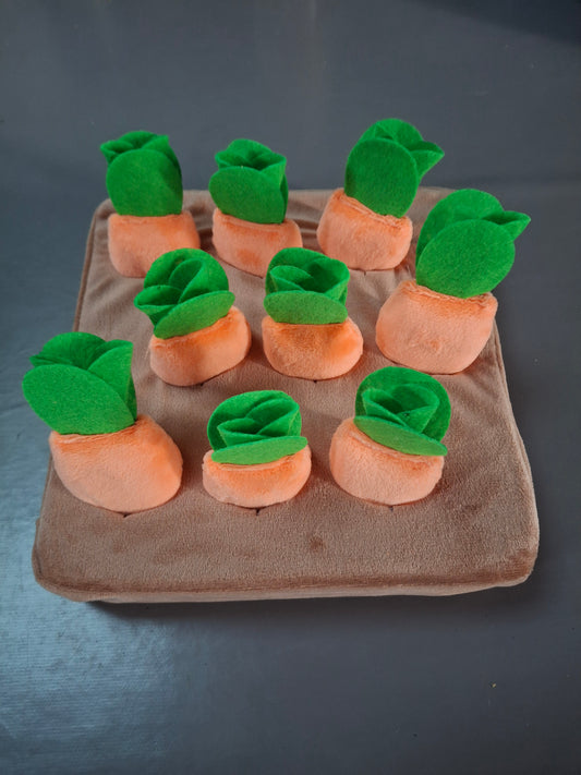 Jouet interactif de reniflage pour chien