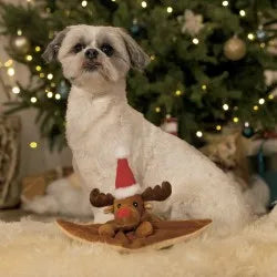 Peluche Doudou de Noël pour chien RENNES
