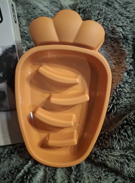 Gamelle anti-glouton TIAKI "Carotte"