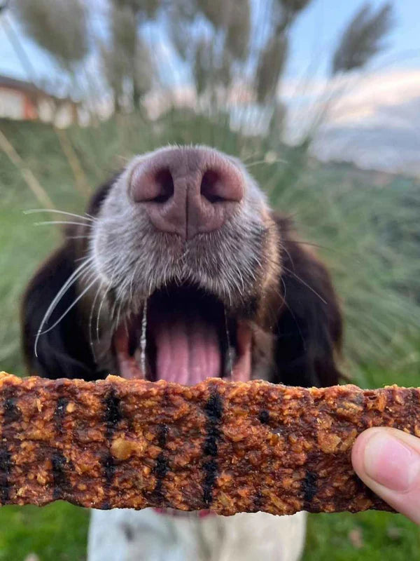 Lamelles dentaire de Biche pour chiens et chats