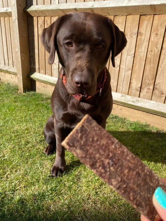 Lamelles de bœuf pour chiens et chats - 100 gr