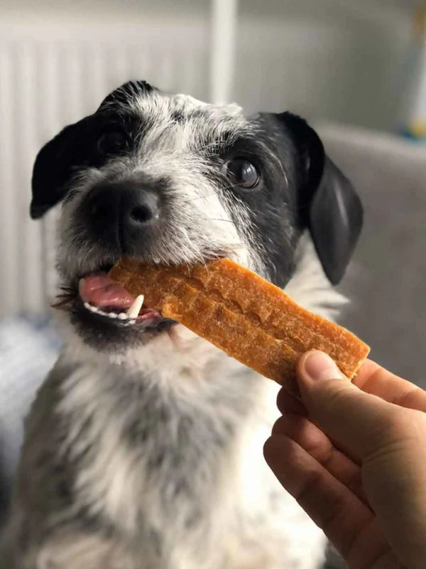 Lamelles de bœuf pour chiens et chats - 100 gr