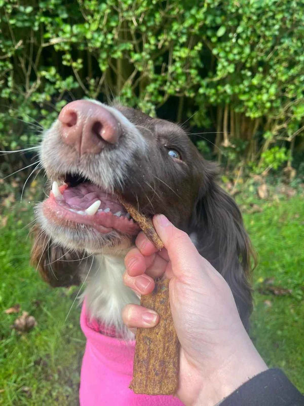 Lamelles d'oie pour chiens et chats - 100 gr