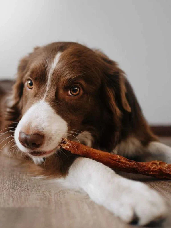 Peau de boeuf - 200 gr