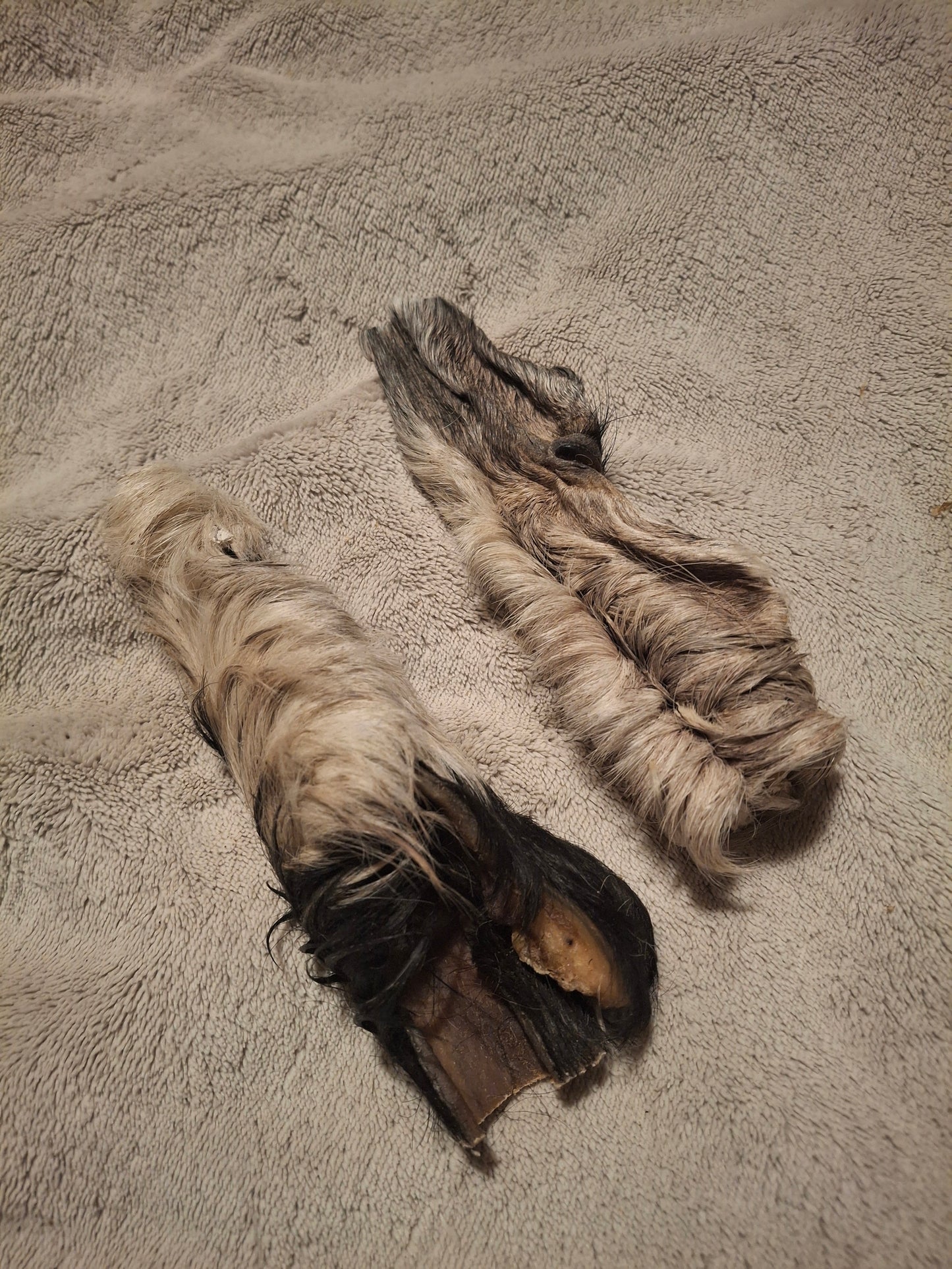 Peau de bœuf avec poils pour chien