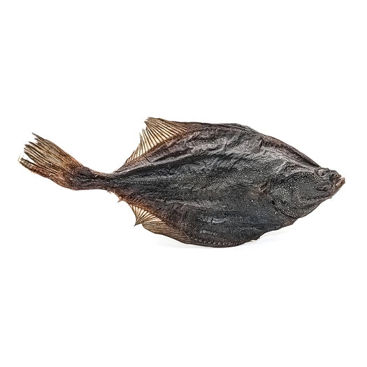 Flétan