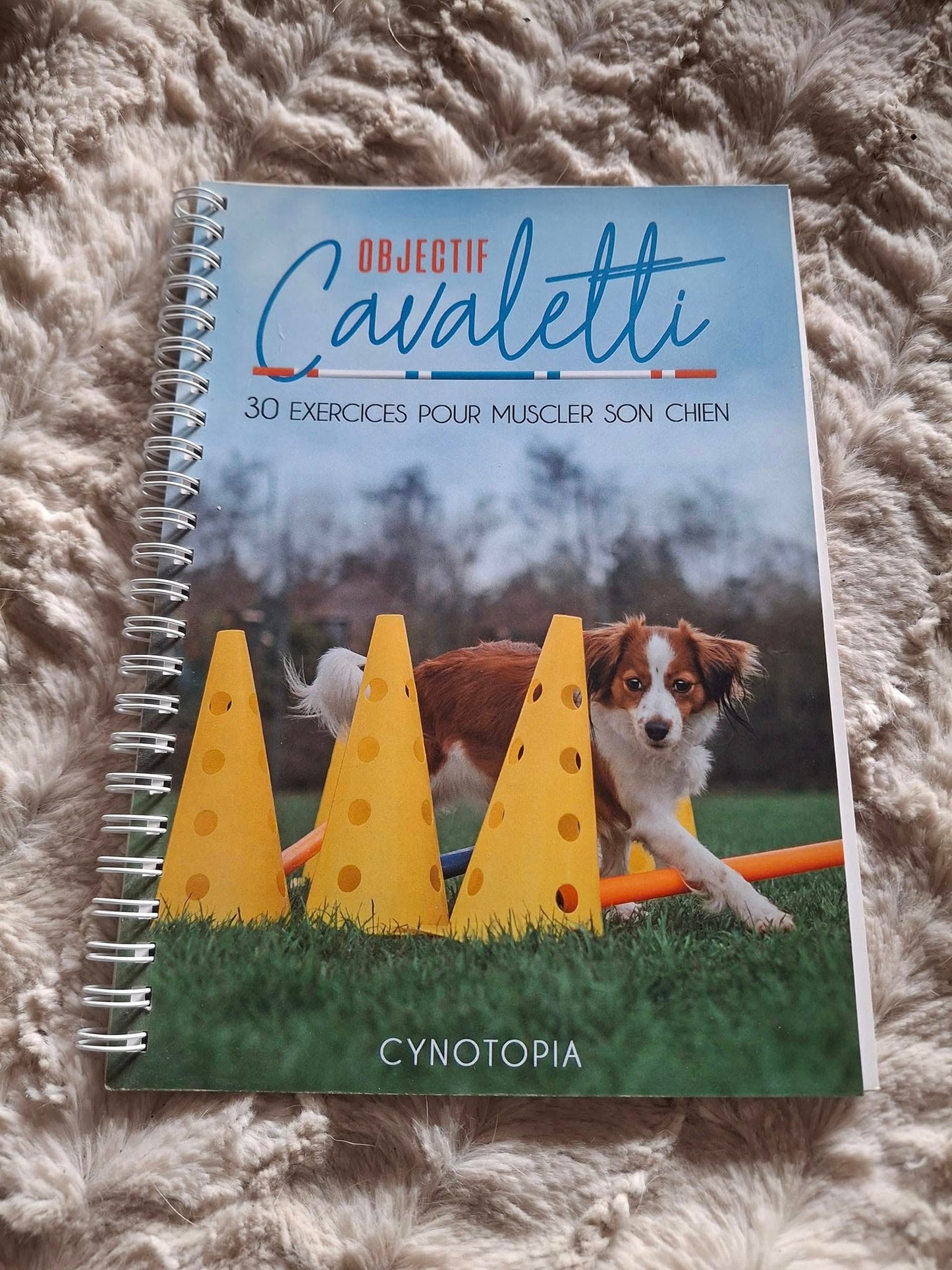 Objectif Cavaletti - 30 exercices pour muscler son chien