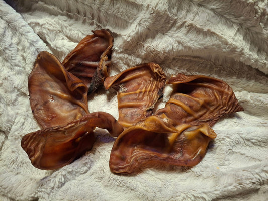 Oreille de porc
