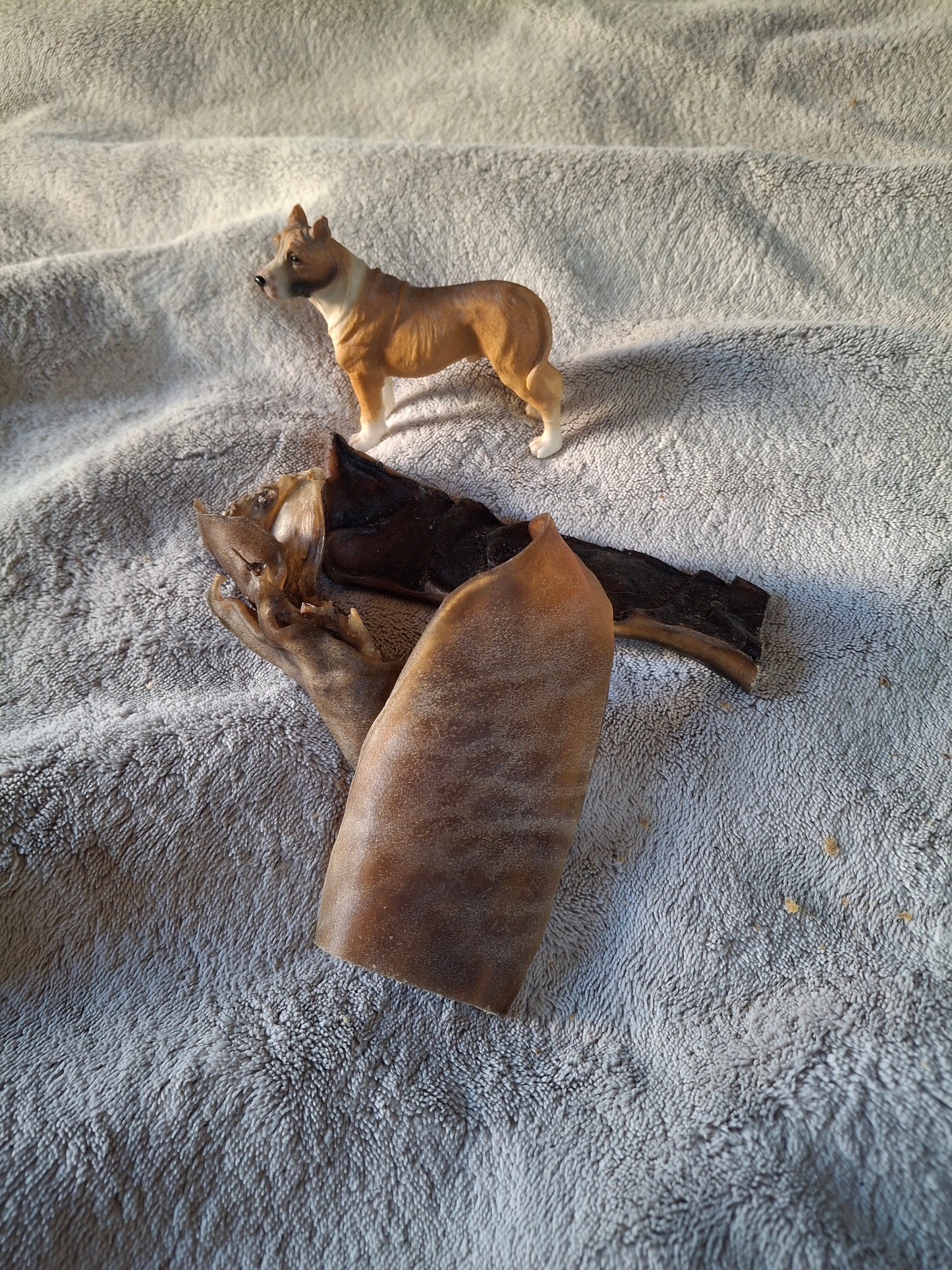 Peau de chameau pour chien