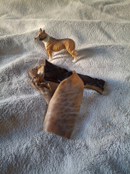 Peau de chameau pour chien