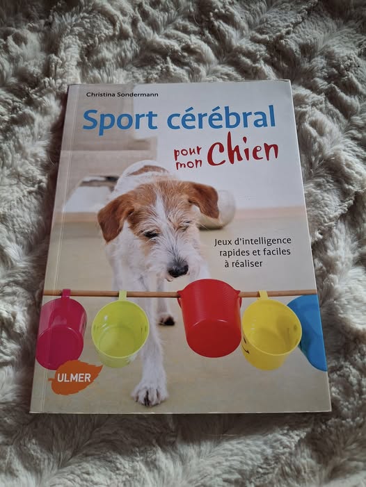 Sport cérébral pour chien