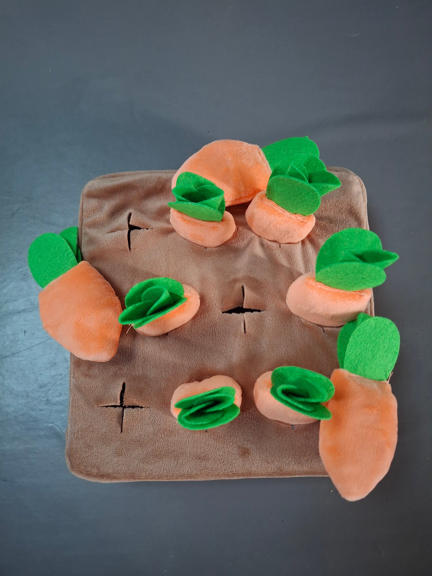 Jouet interactif de reniflage pour chien