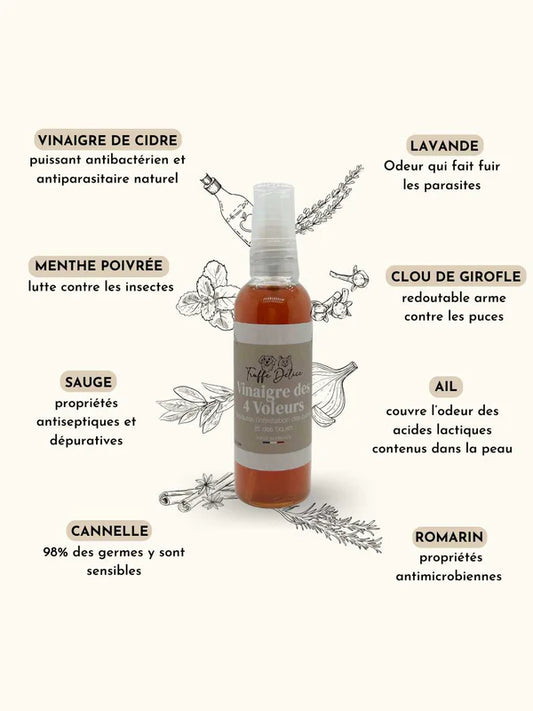 Vinaigre des 4 voleurs pour chien et chat, antiparasitaire naturel - 100 ml