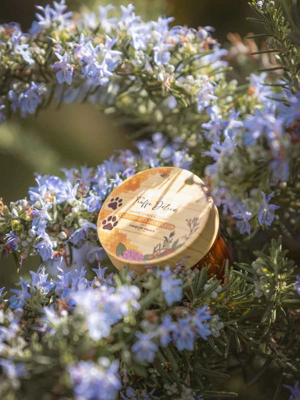 Baume coussinets pour chien et chat - 50 ml