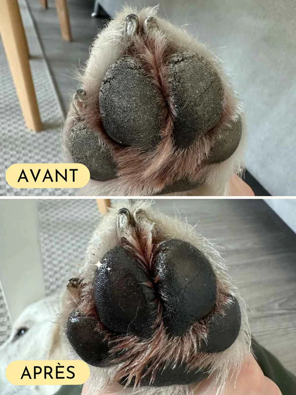 Baume coussinets pour chien et chat - 50 ml