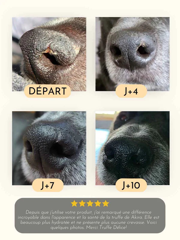 Baume Truffe Soyeuse pour chiens et chats - 50 ml