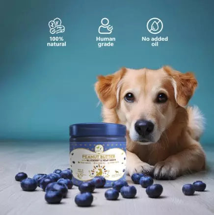 Beurre de Cacahuète Pawfect Myrtilles et Graines de Chanvre | 450g