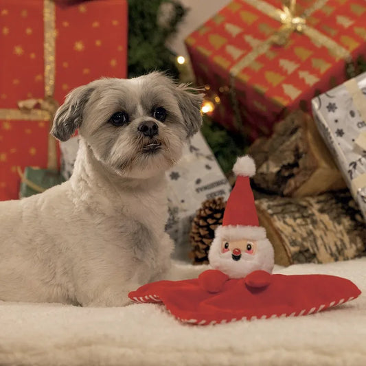 Peluche Doudou pour chien - PERE NOEL