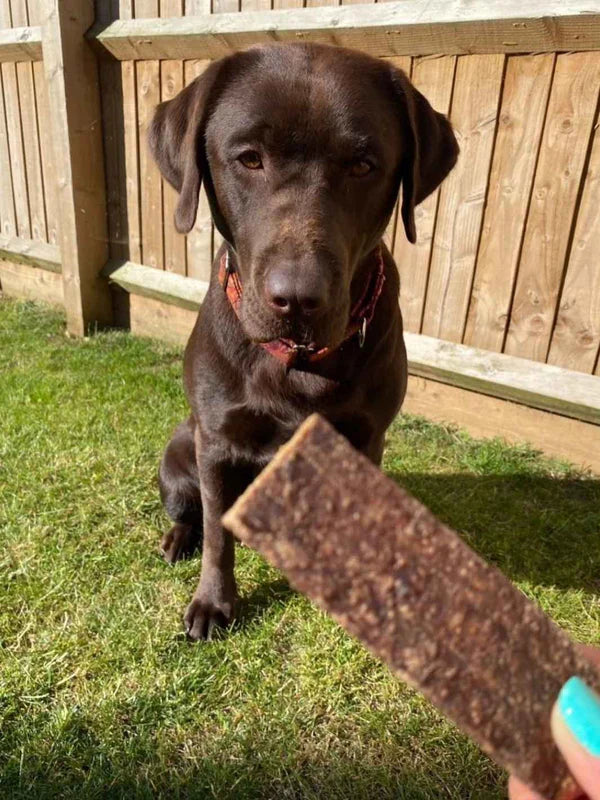 Lamelles de bœuf pour chiens et chats - 100 gr