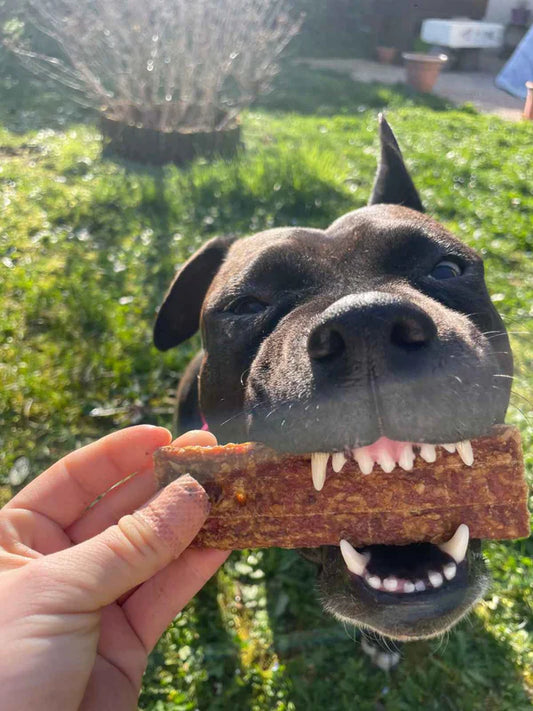 Lamelles dentaire de viande de chèvre pour chien et chat