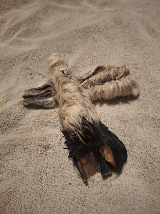 Peau de bœuf avec poils pour chien