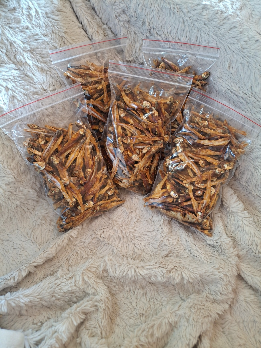 Friandises d'Anchois pour chiens et chats - 100 gr