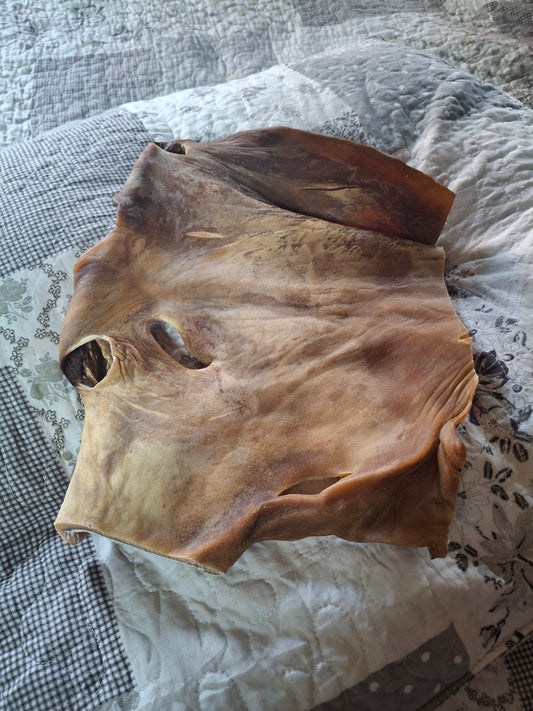 Plaque de peau de bœuf- XXL - Spécial grosses machoires